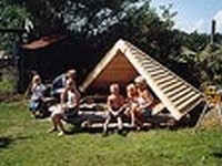 Trend Camping