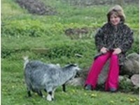 Skærbæk Familie Camping