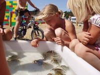 Nyborg Strandcamping