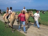 Tårup Strand Camping