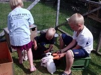 Lægårdens Camping