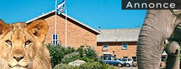 Gå i seng til ulvehyl, stå op til løvebrøl